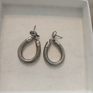 Distinct Silver Hoop Earrings